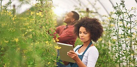 Réglementation environnementale & effluentssmall (1).jpg