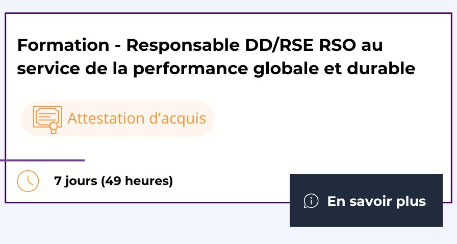Formation Responsable DD/RSE RSO au service de la performance globale et durable