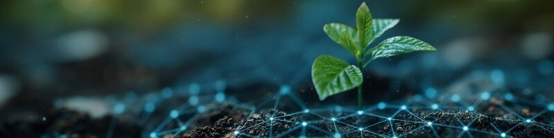 Bandeau IA frugale (1).jpg